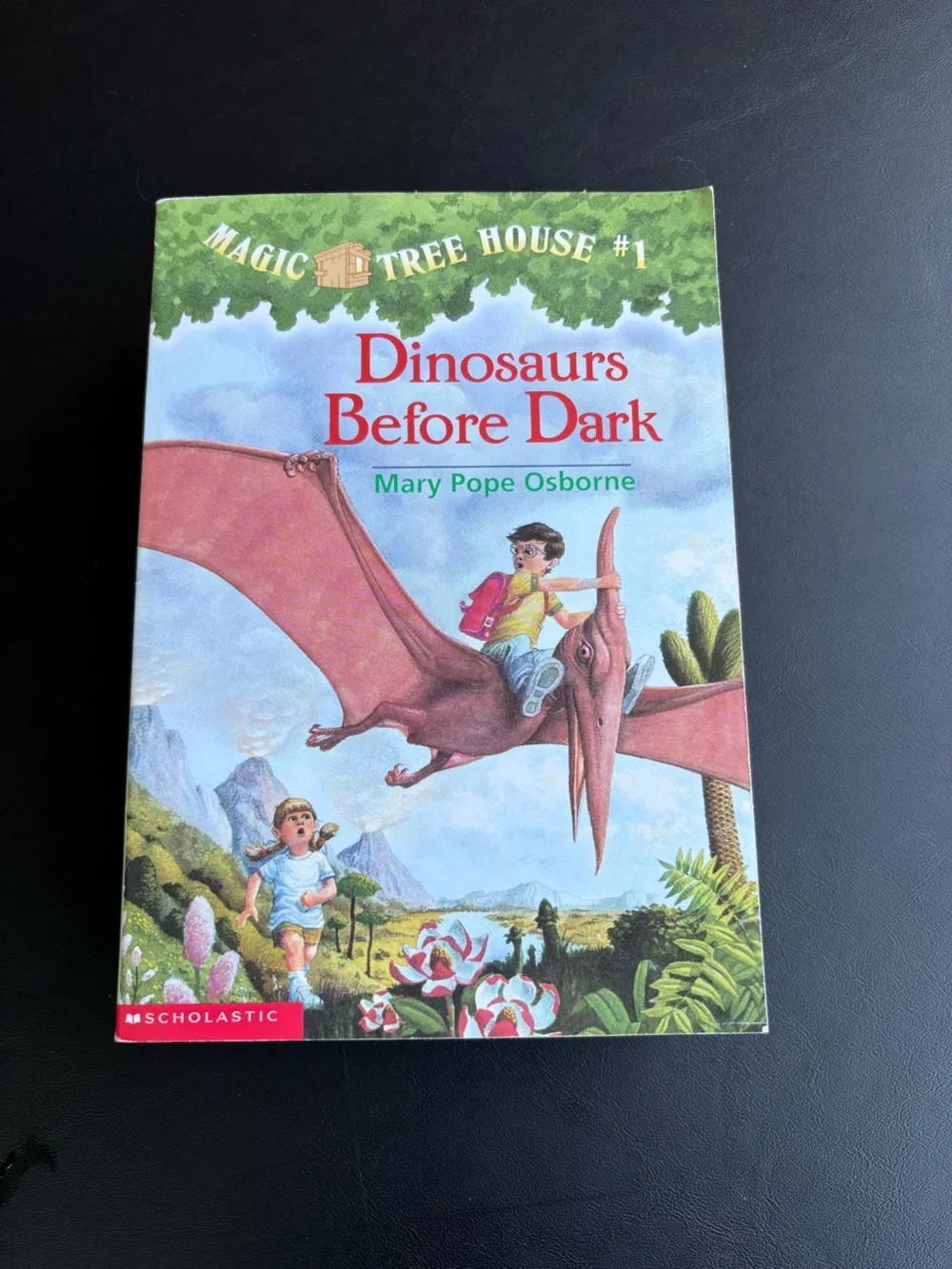 Magic Tree House Children's Books - Books #1 - #10